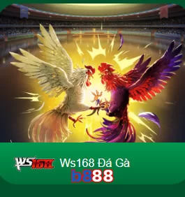 b888